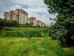 城郊绿地旁的高层住宅