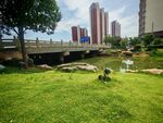 城市绿地中的休闲小景