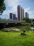 城市河畔绿地休闲景象