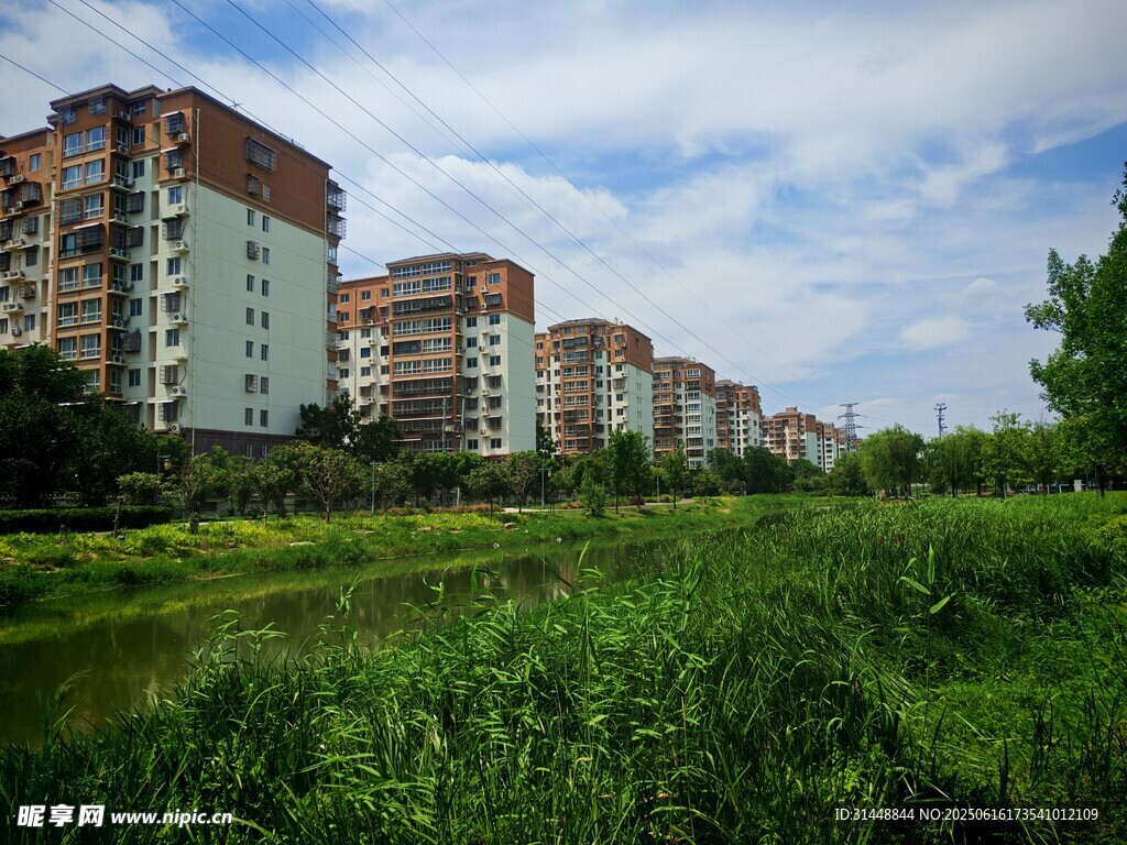 城郊住宅区旁的绿意景观