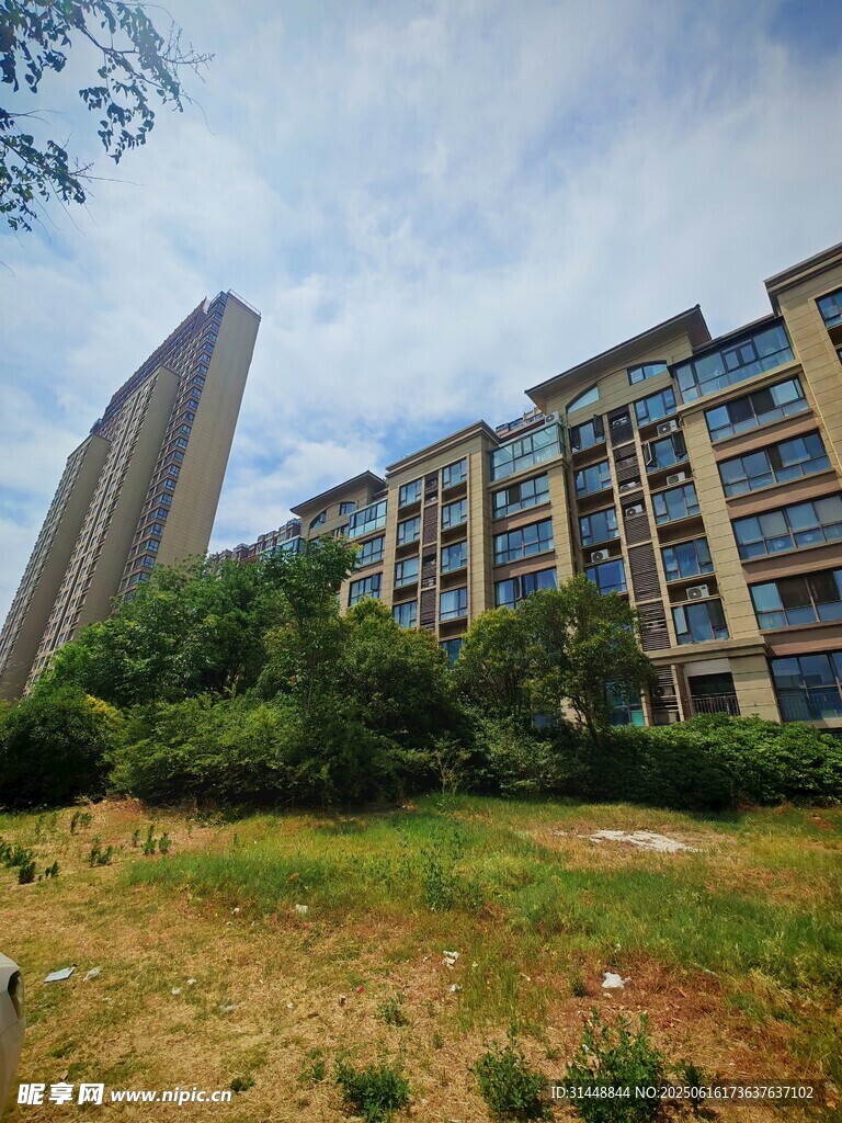 城市住宅区旁的绿地景观