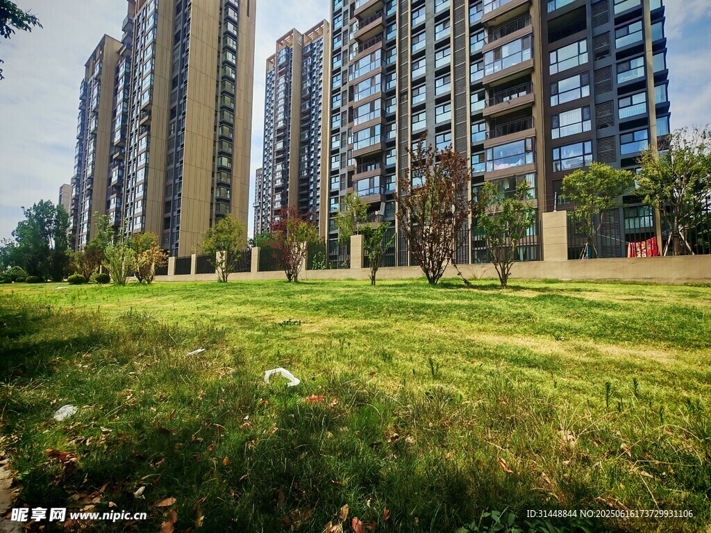 城市草坪旁的高层住宅区
