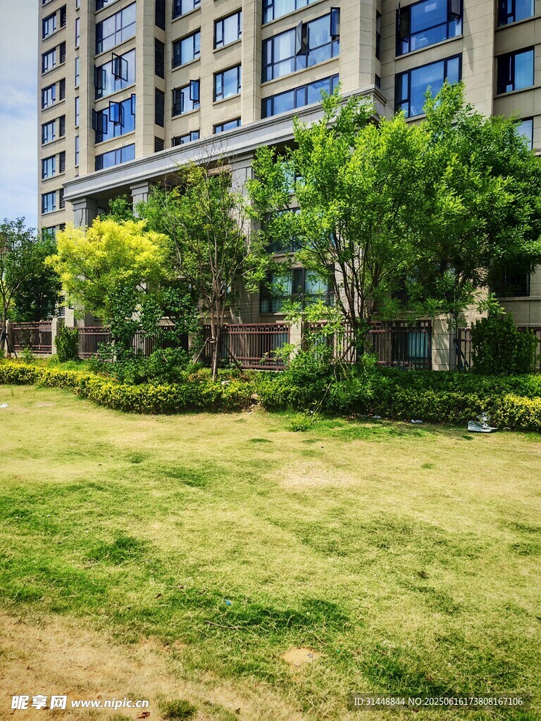 小区绿化景观