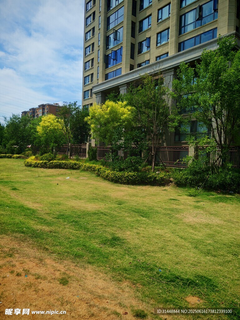 小区旁的绿地与高楼景观