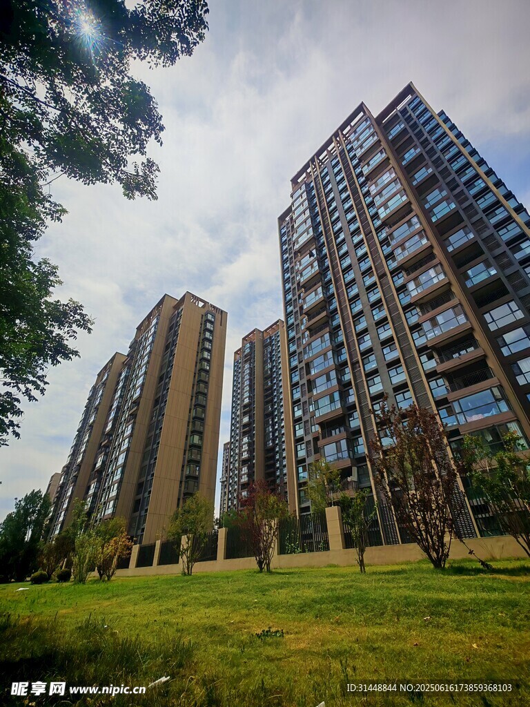 高层住宅旁的绿意景观