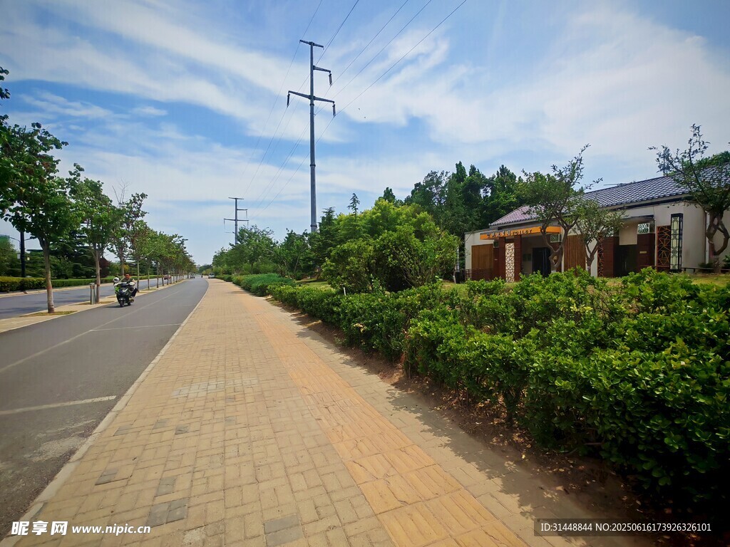 乡村小路旁的清新景致