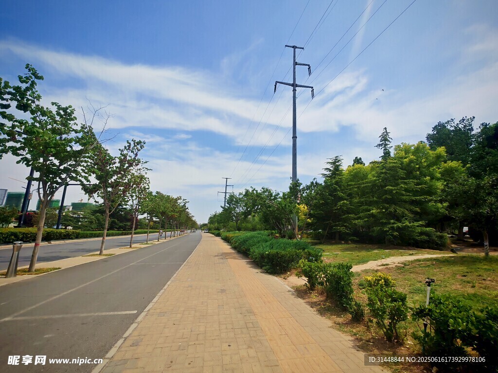 城郊林荫路
