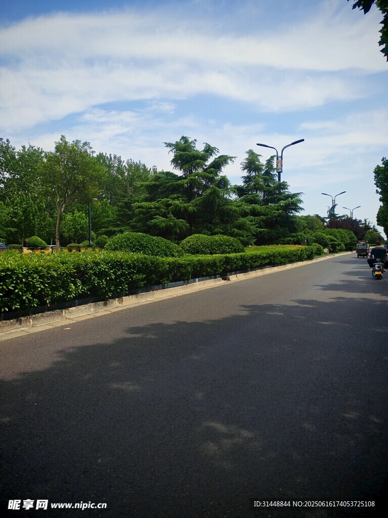 宽阔道路旁的绿植景观