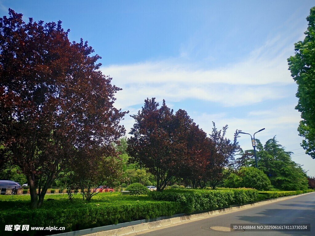 道路旁的多彩绿植景观