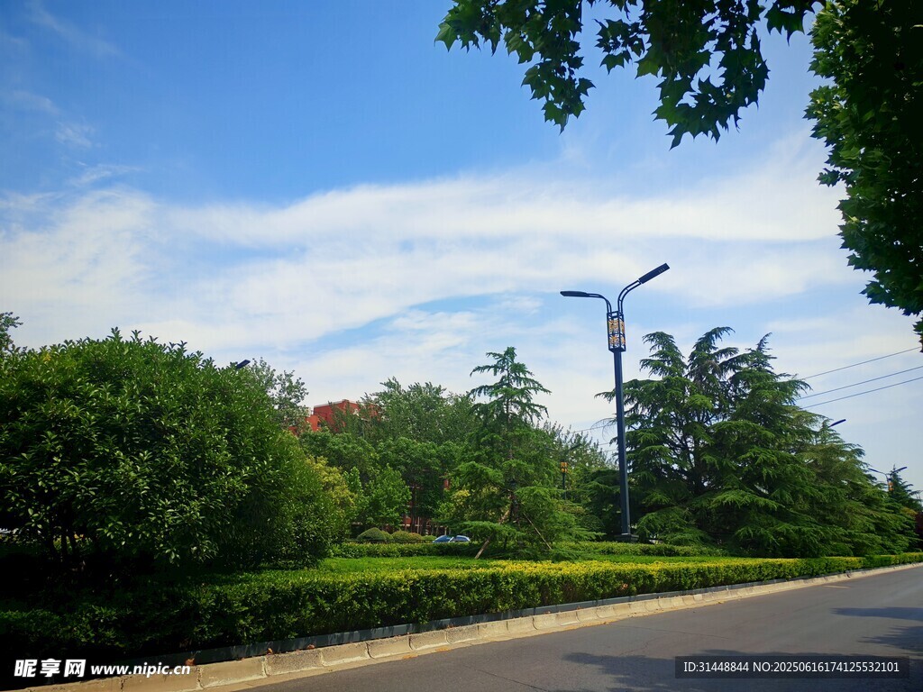 城市林荫道路风景