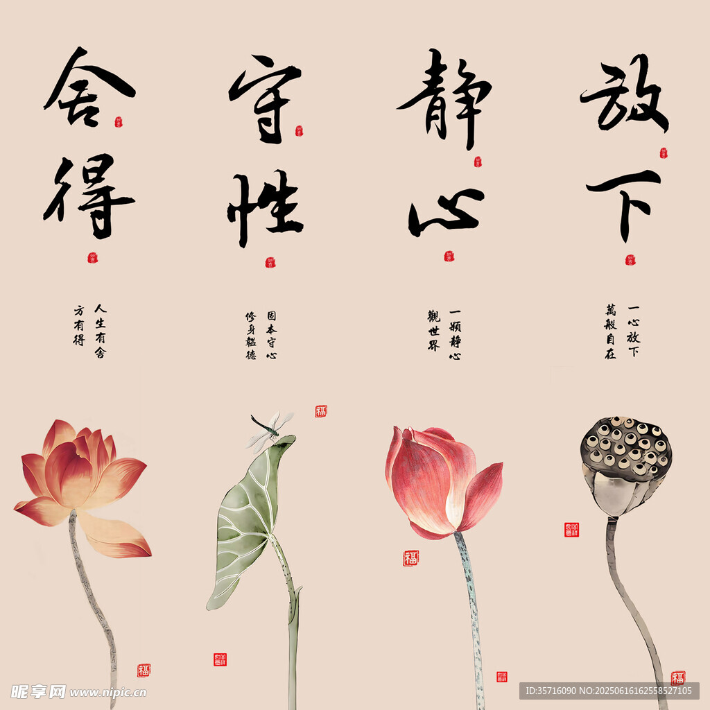 中式荷花书法意境插画