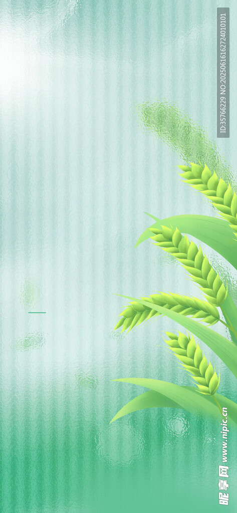 清新绿植自然绿意氛围