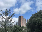 城市中绿树环绕的高楼