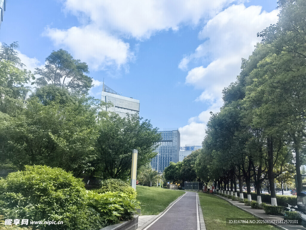 城市林荫小道风景