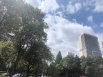 城市中绿树环绕的高楼