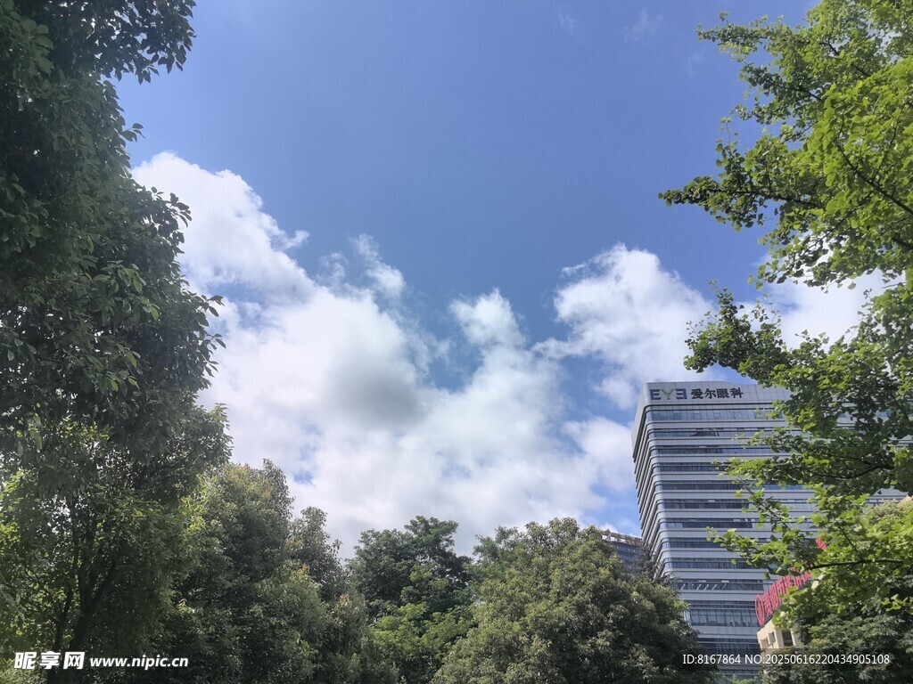 绿树环绕中的高楼景观