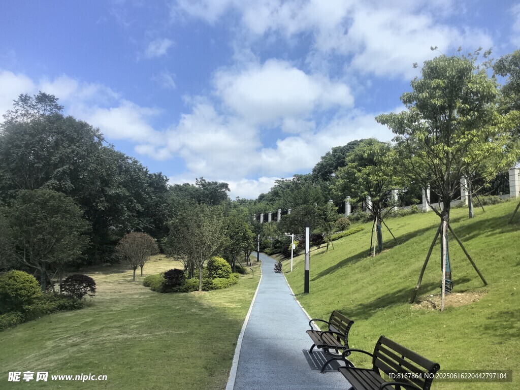 公园小径旁的休闲景致