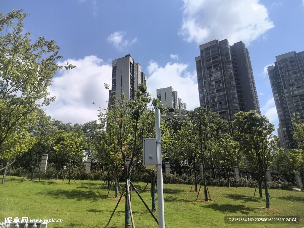 城市公园中的高楼与绿植