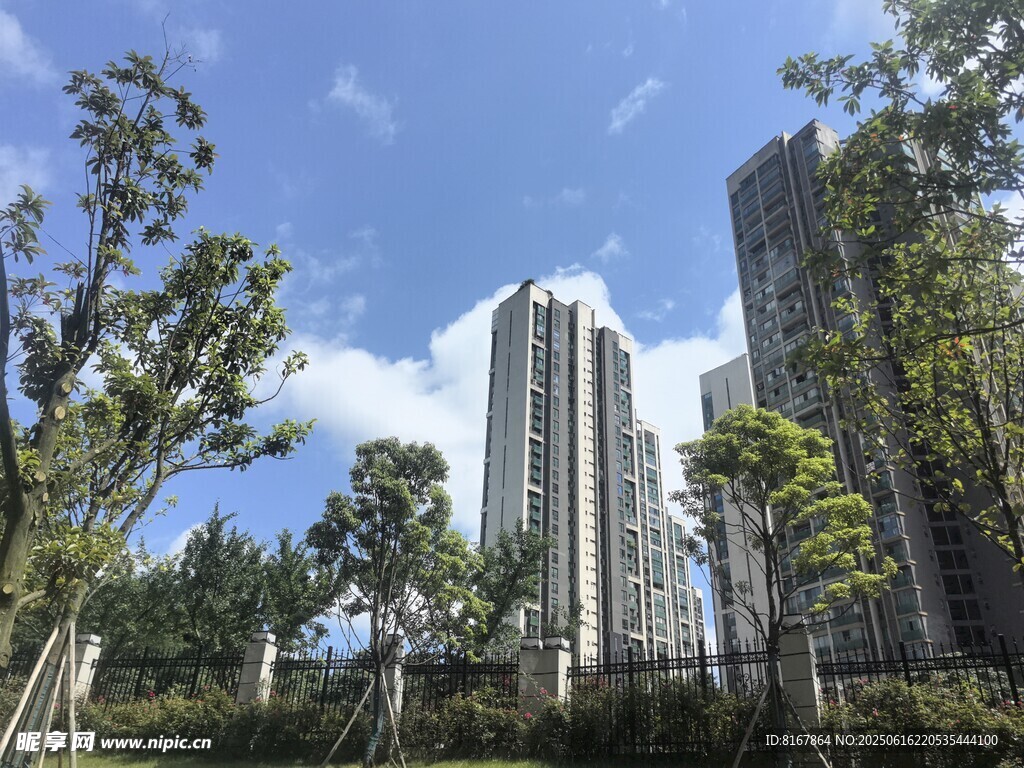 城市高楼与绿树景观