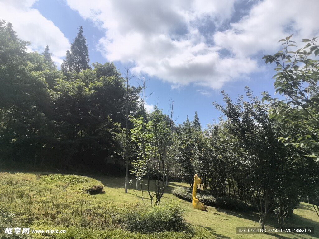 山林草地间的清新景致