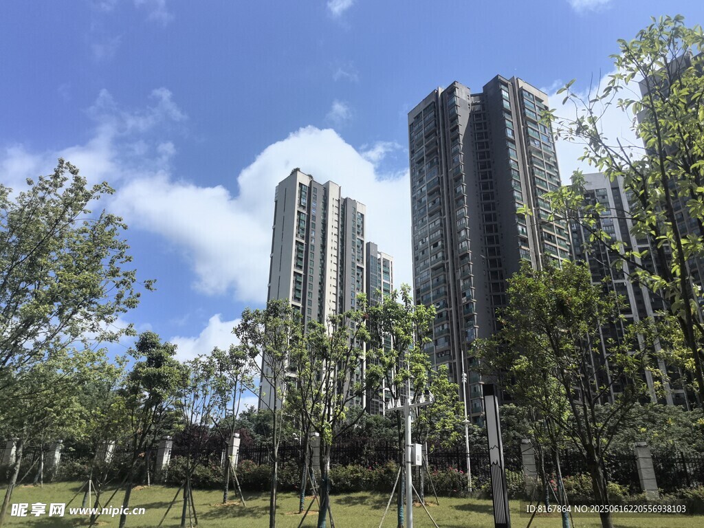 城市高楼与绿树景观