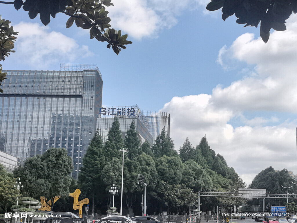 城市中的现代建筑与绿树