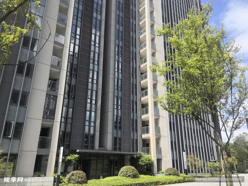现代高楼与周边绿植景观