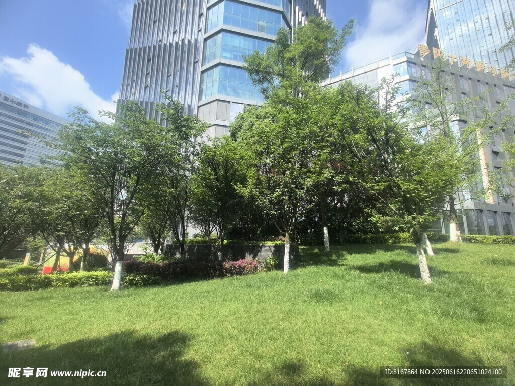 城市中的绿意草坪景观