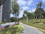 城市中优美的林荫道路
