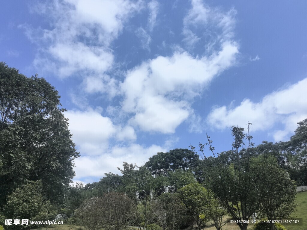 蓝天白云下的山林美景