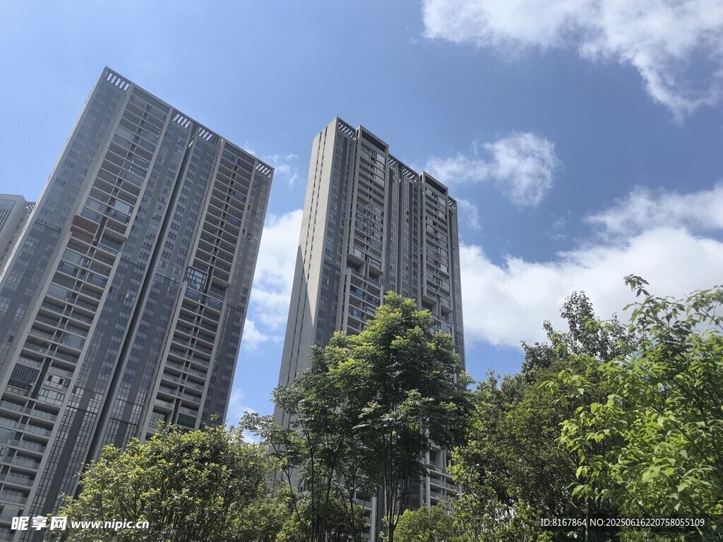 城市高楼与绿树相映成趣