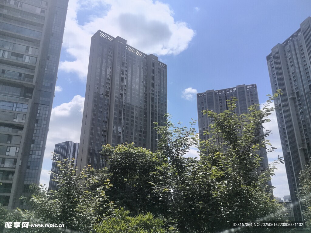 城市高楼与绿树相映成景