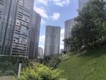 城市中绿意盎然的高楼景观