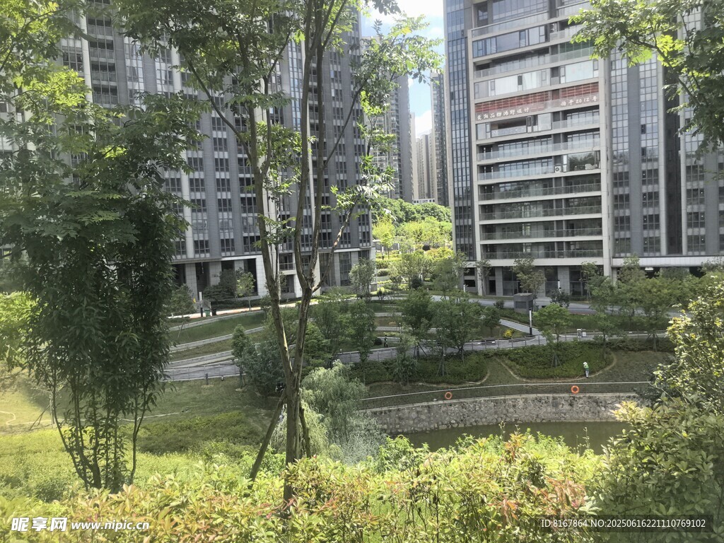 小区内的绿植与高楼景观