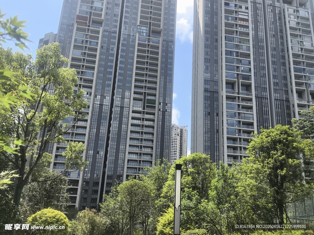 高楼林立间的绿意景观