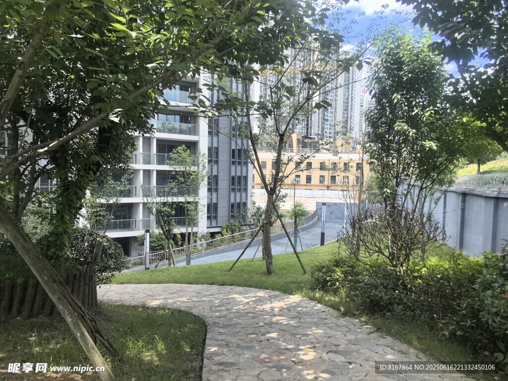 小区内幽静的林荫小径