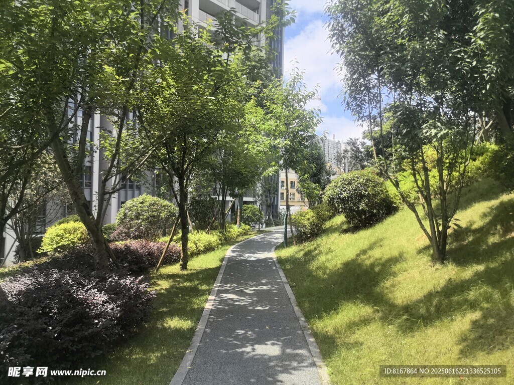 城市中的静谧风景
