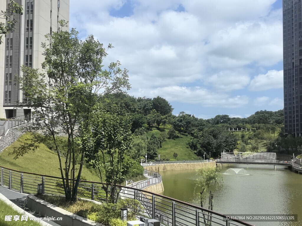 河畔高楼旁的绿意景致