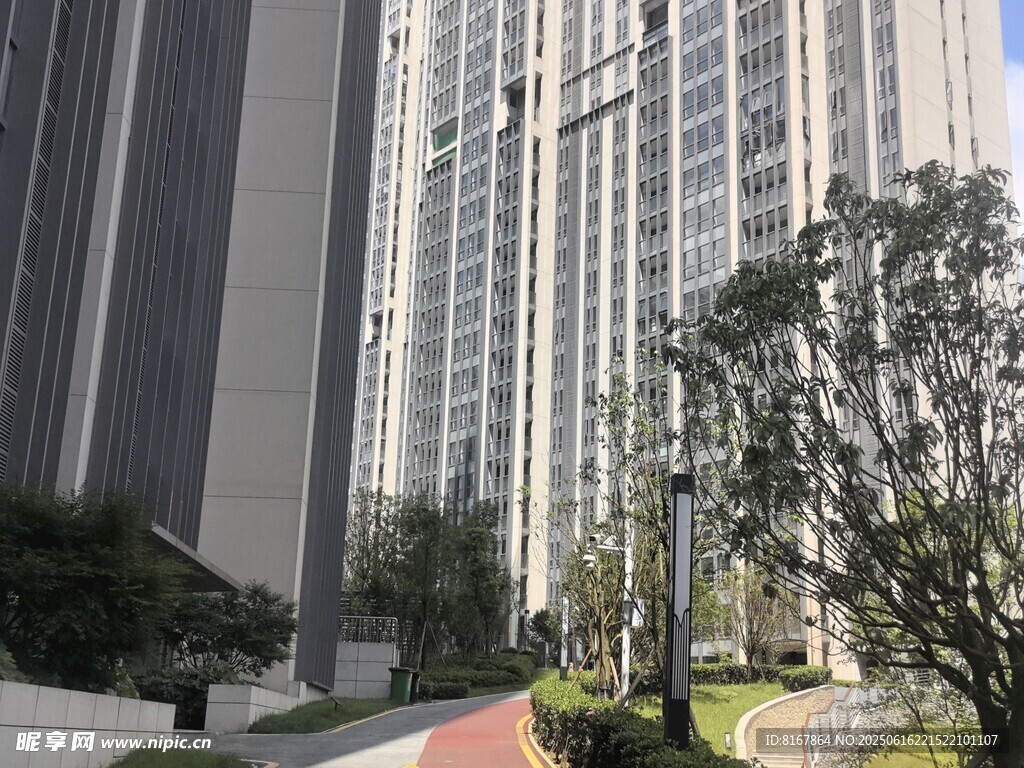 城市高楼旁的绿植景观