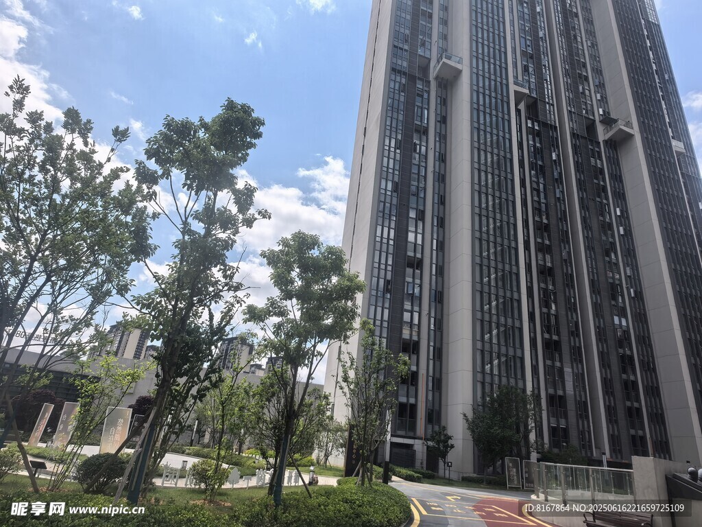 高层住宅旁的绿树景观