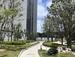 城市中绿意盎然的休闲小径