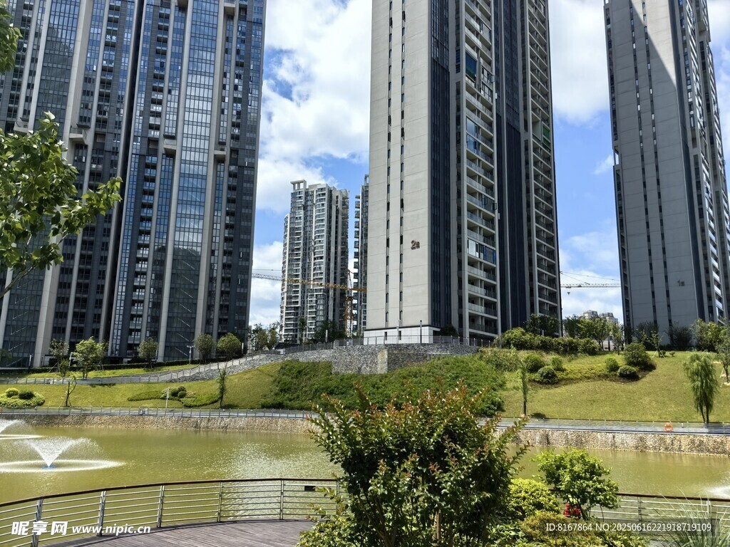 城市高楼旁的绿意景观