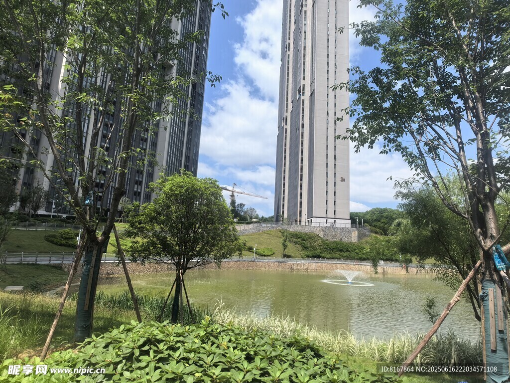 城市湖畔高楼与绿植景观