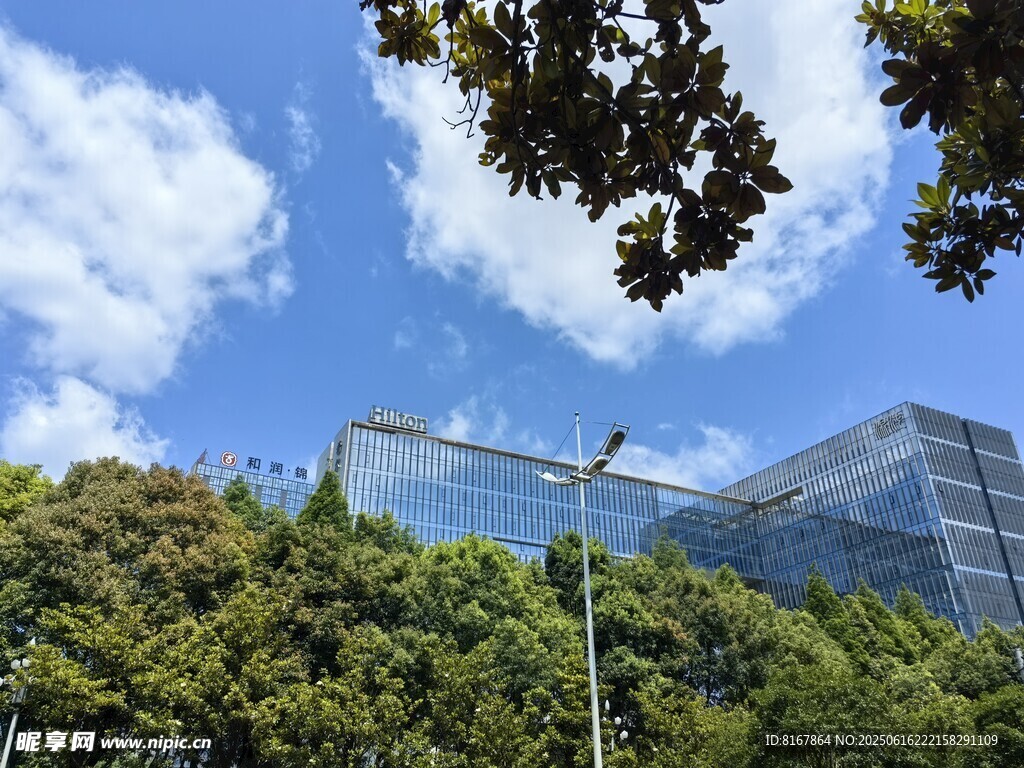 城市绿植与现代建筑景观
