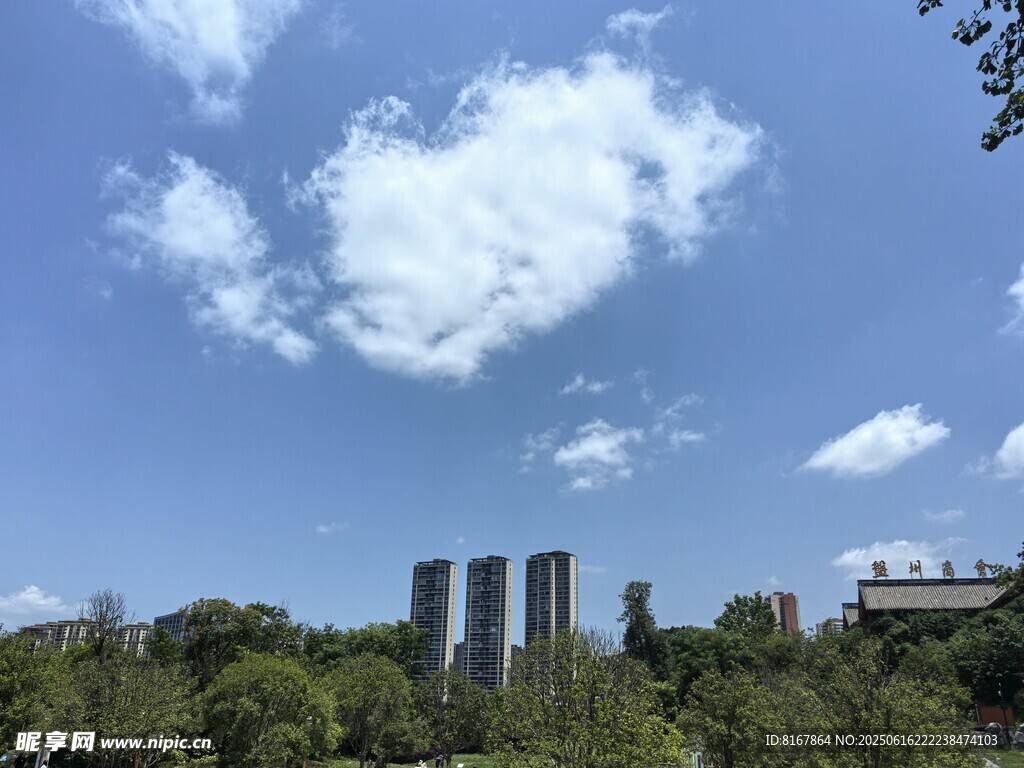 蓝天白云下的林间建筑
