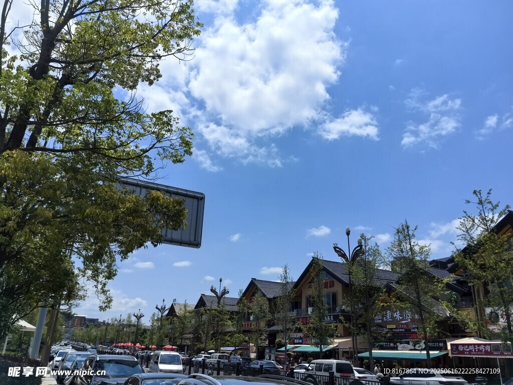 小镇街头的热闹景象