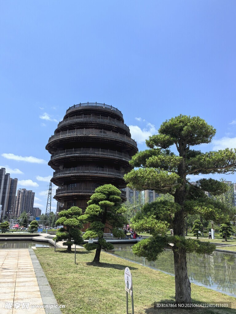 独特塔楼旁的精致松树景观