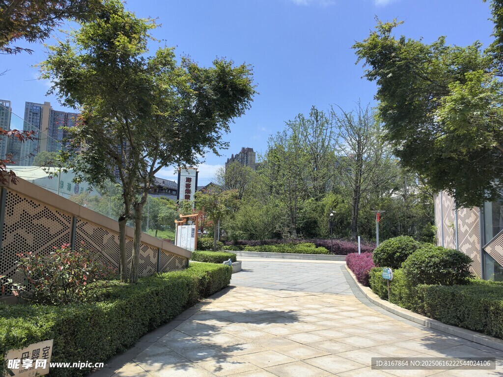 美丽园林景观小道