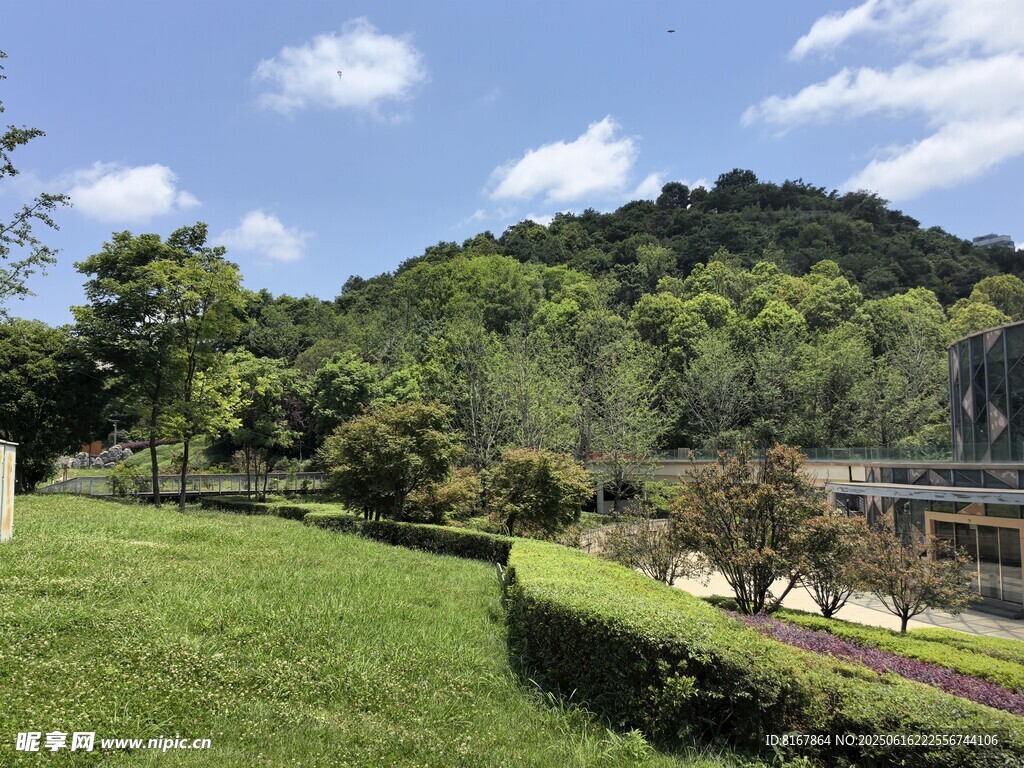绿意盎然的户外风景