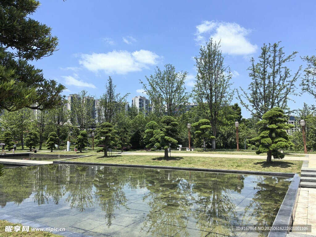 宁静湖畔园林美景